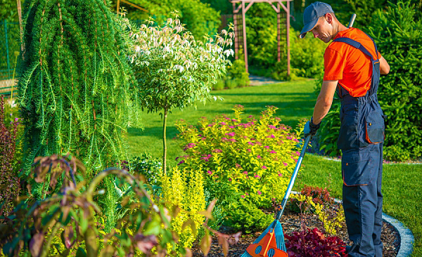 pielęgnacja zieleni, podlewanie i koszenie trawników